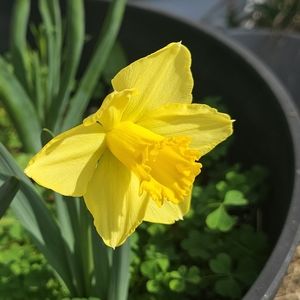 Meet your Posher, Mariah